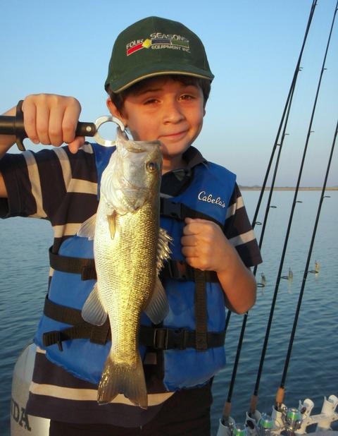 We caught whites, we caught blacks, we caught sunfish … 69 Fish,  Stillhouse, 20 Aug. 2011
