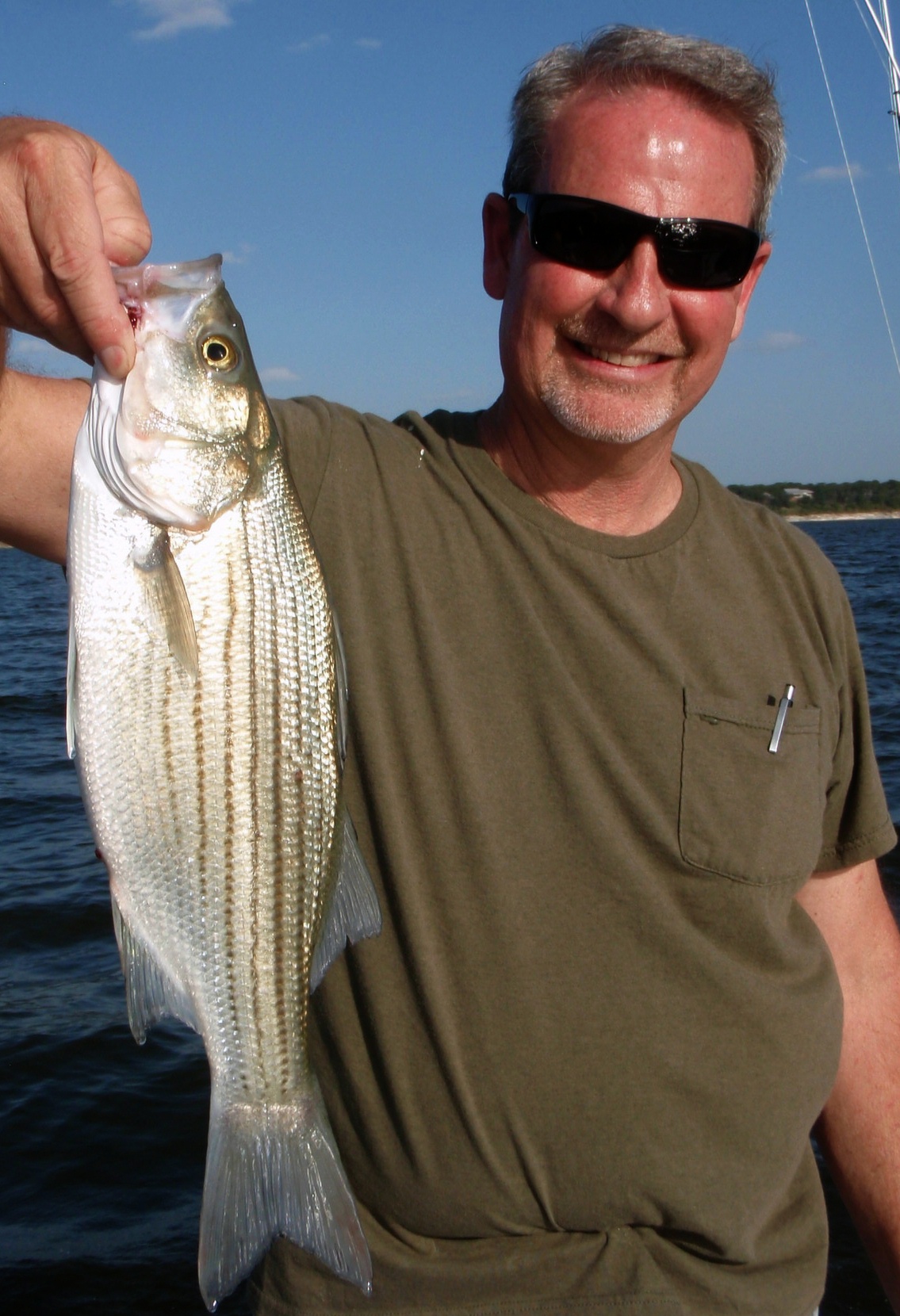 Belton White Bass Earns “Big Fish” Award — 30 Fish, Belton, 28