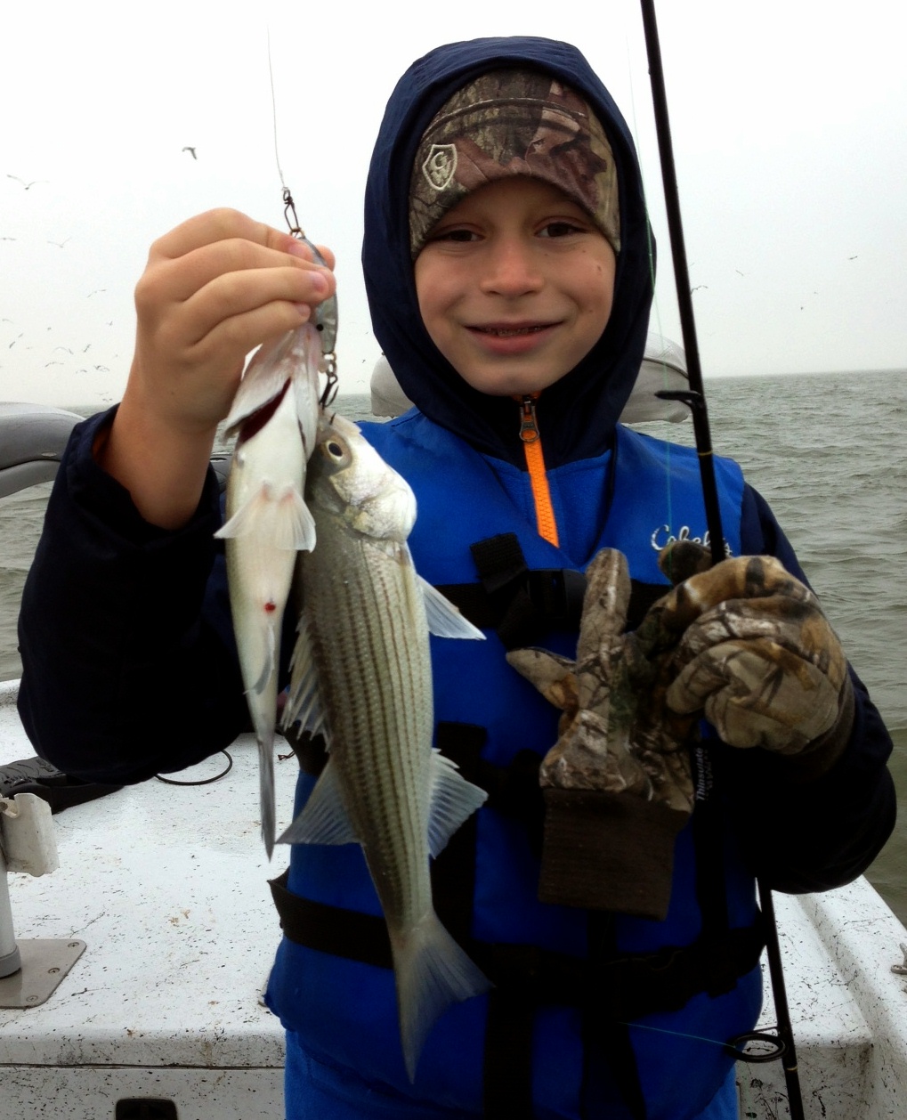 That’s (a) Gross!!! — 144 Fish, Belton Lake Fishing Report