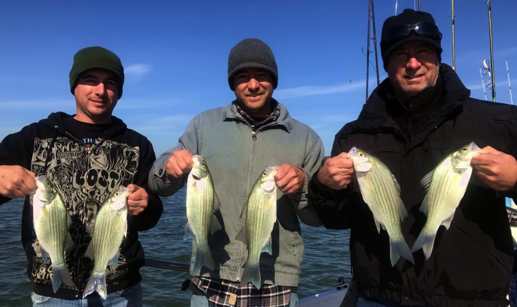 3 Men, 4 Hours, 269 Fish — Lake Belton, 12 Dec. 2016
