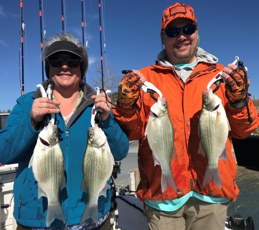 Central Texas White Bass Run Fishing Report